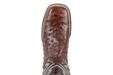 Load image into Gallery viewer, Silverton Ostrich Print All Leather Wide Square Toe Boots (Brown)