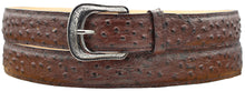 Load image into Gallery viewer, Silverton Ostrich Print Leather Belt (Brown)