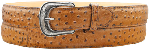 Silverton Ostrich Print Leather Belt (Honey)